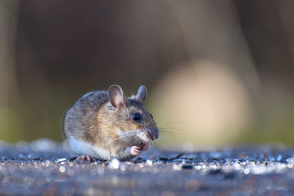 Photograph by Кузнецов Дмитрий