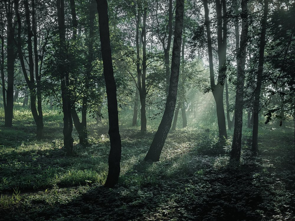 Photograph by Andrei Gavrilita