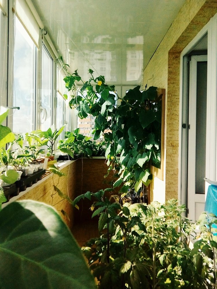 Самоизоляия и..