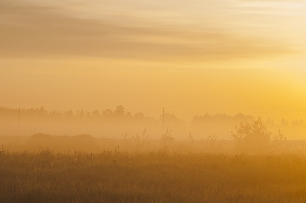 Photograph by Aliaksei Shandalin