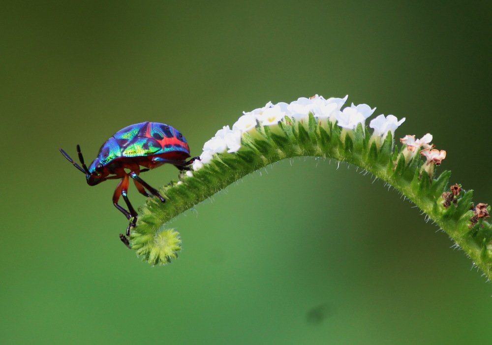 Photograph by Shankha Debnath