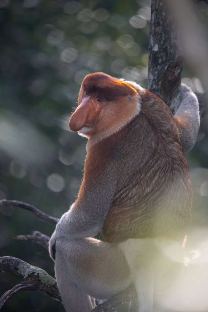 Фотография автора Anil Prabhakar