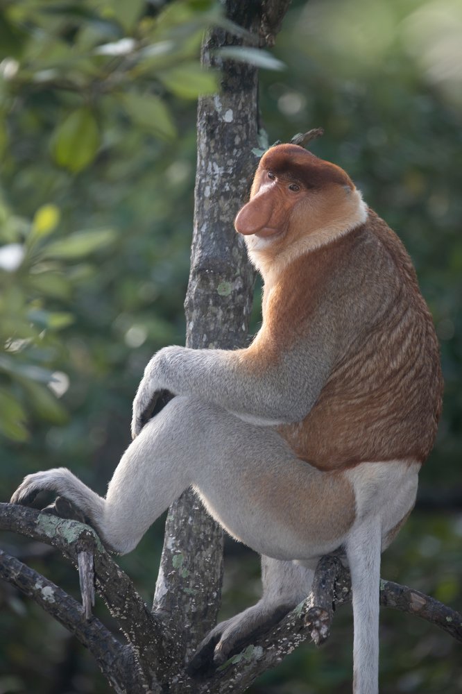 Фотография автора Anil Prabhakar