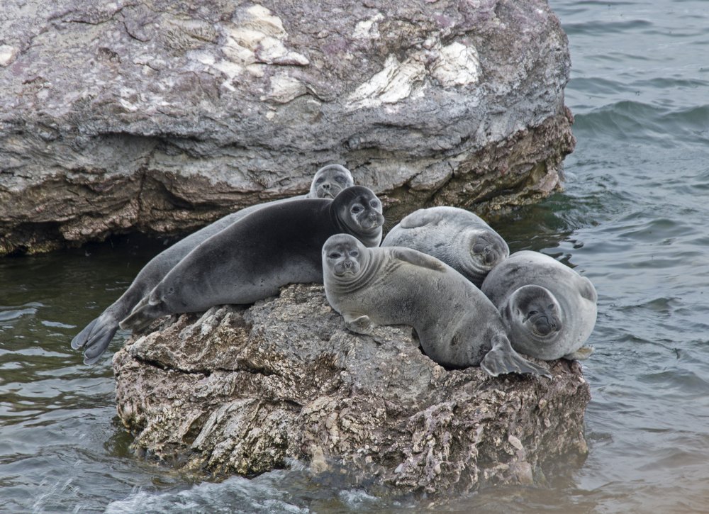 Photograph by Галина Михоношина