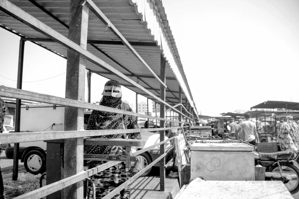 Photograph by mani gholamshahzadeh