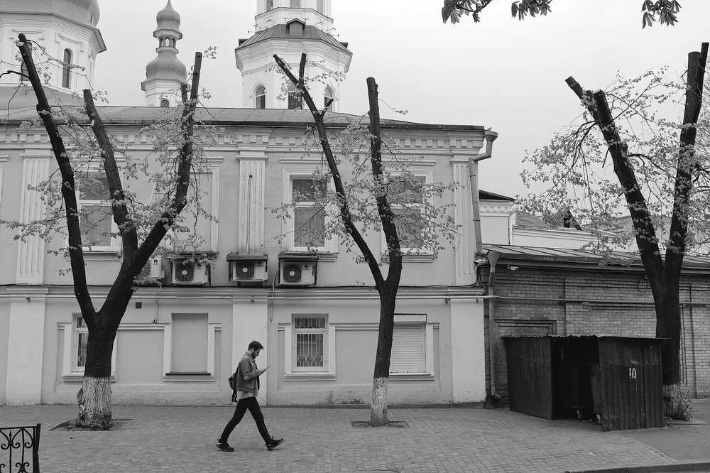 деревья шагают стоя