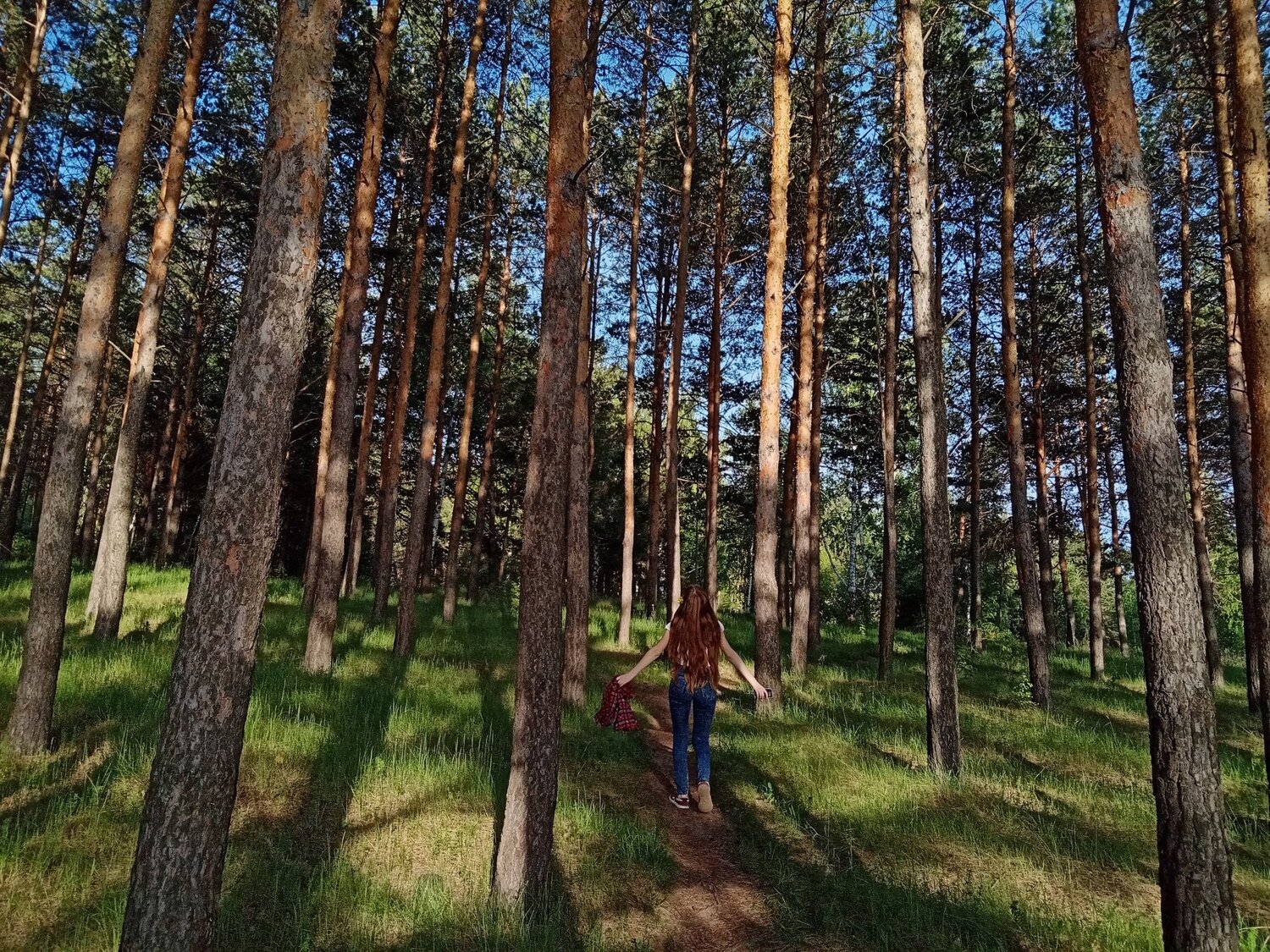 Photo #4687204