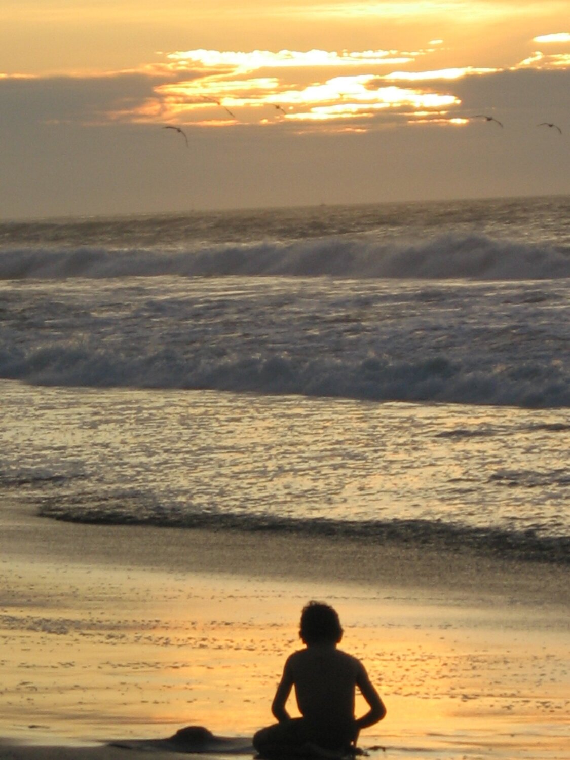 Photo #4687213