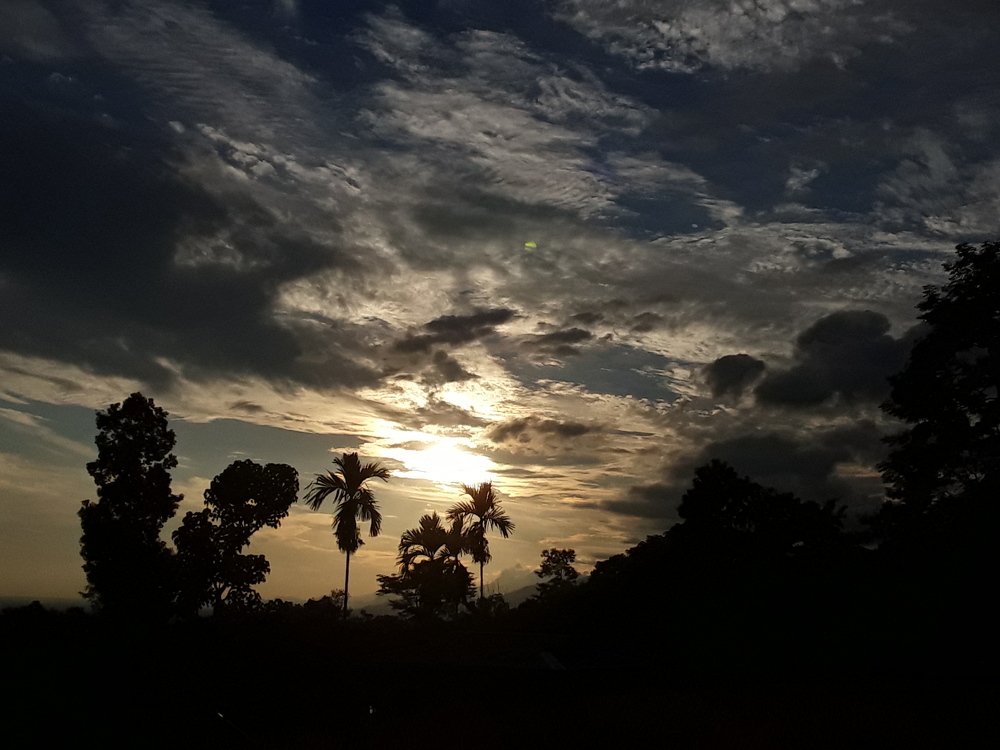 Photo #4687247