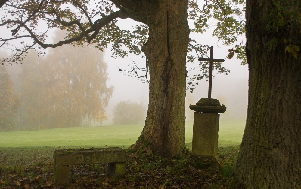 Photograph by Alexey Olkhovenko