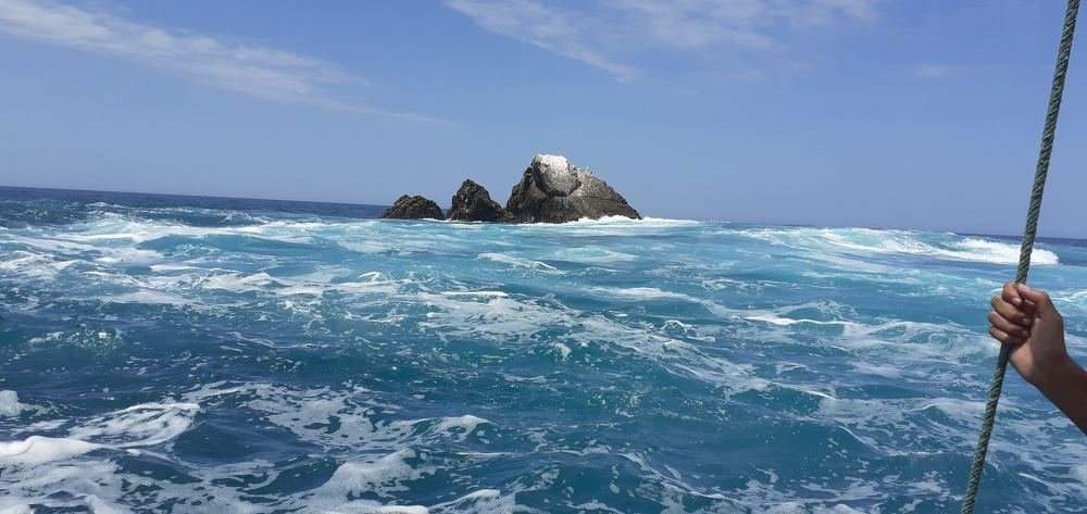 Фотография автора Segundo Antonio Carrasco Carrasco