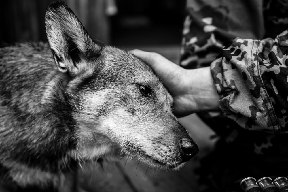 Фотография автора Айдар Набиев