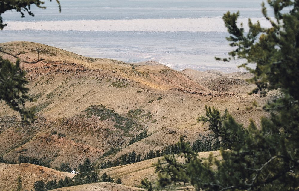 Самоизоляция по-казахски