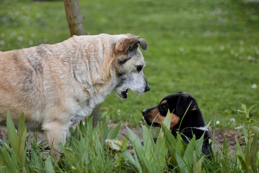 Photograph by Darja Stojanovic