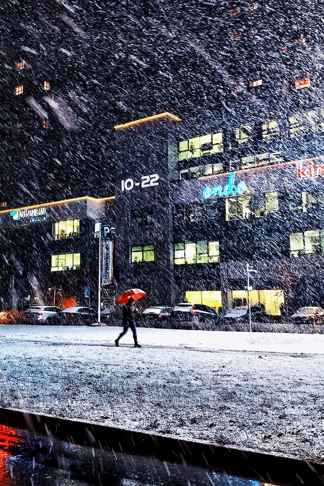 Фотография автора ALLA SOKOLOVA