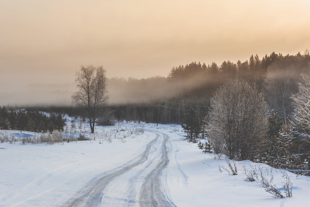 Фотография автора Андрей Логвинович