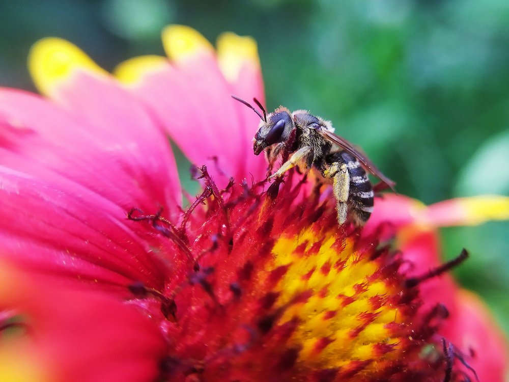 Photograph by Дина Горбачёва