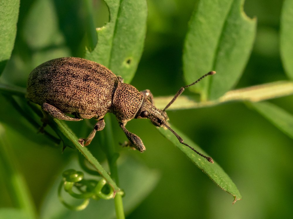 Photograph by Sergey