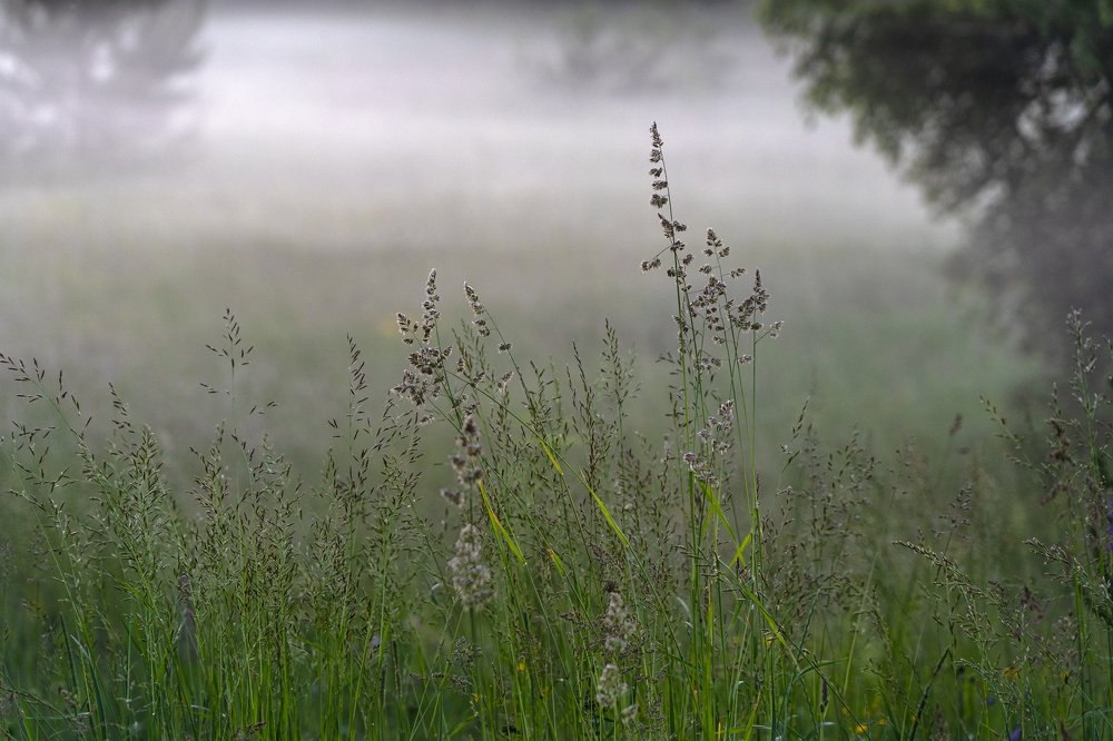 Photograph by Игорь Мурзенко