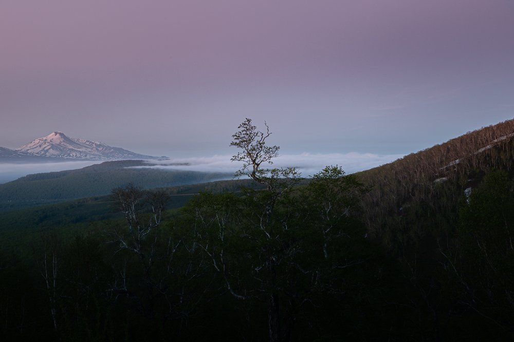 Photograph by Александр Максин