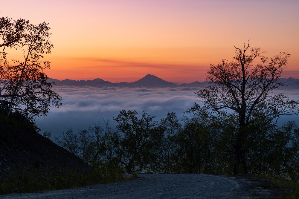 Photograph by Александр Максин