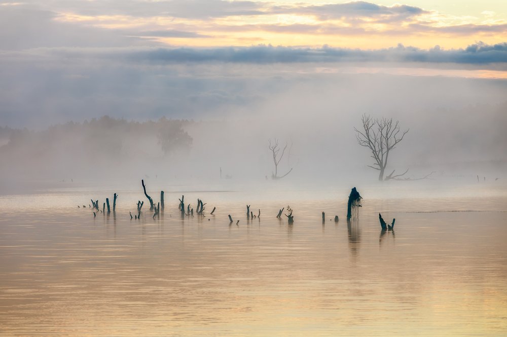 Царство Водяного