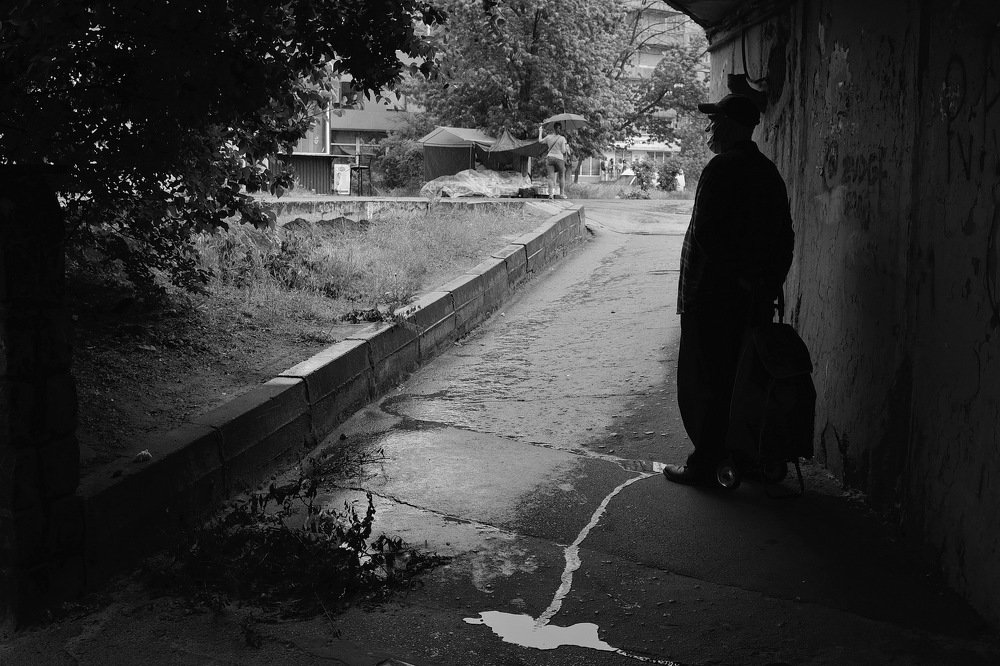 переждать дождь