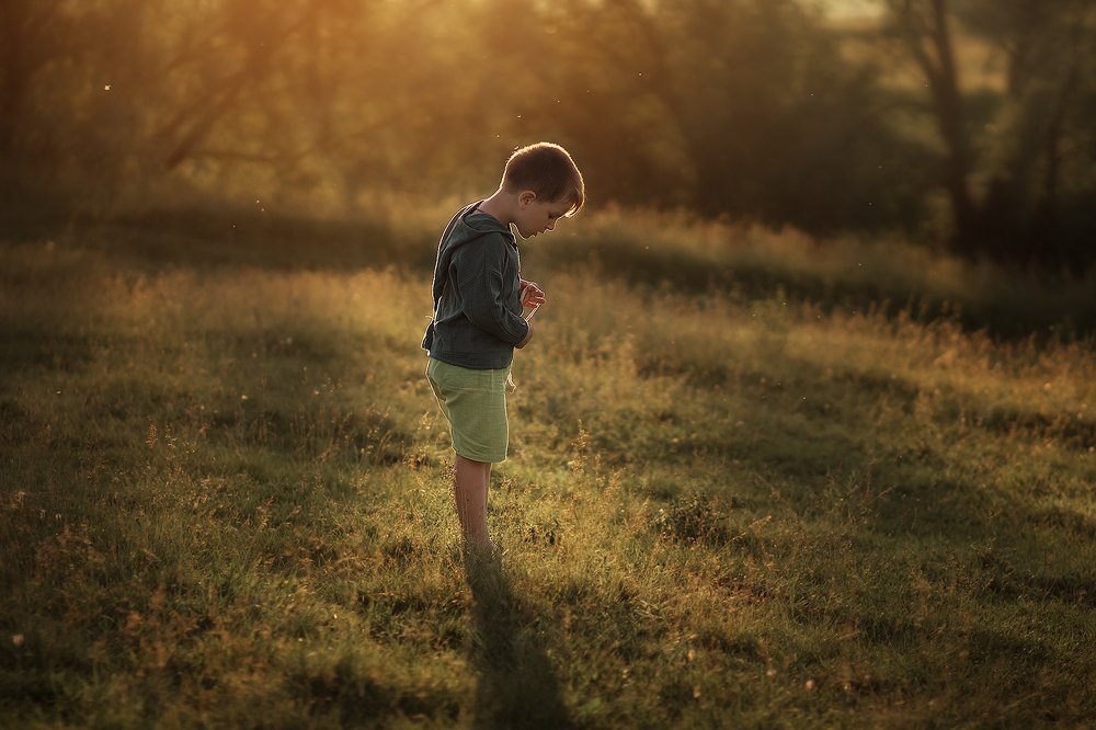 Photograph by Инна Соколова