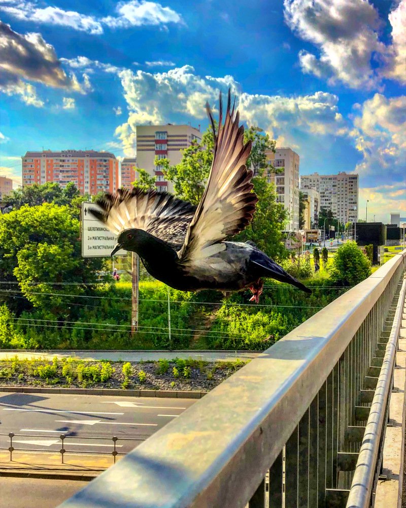 Photograph by Маргарита Гострик
