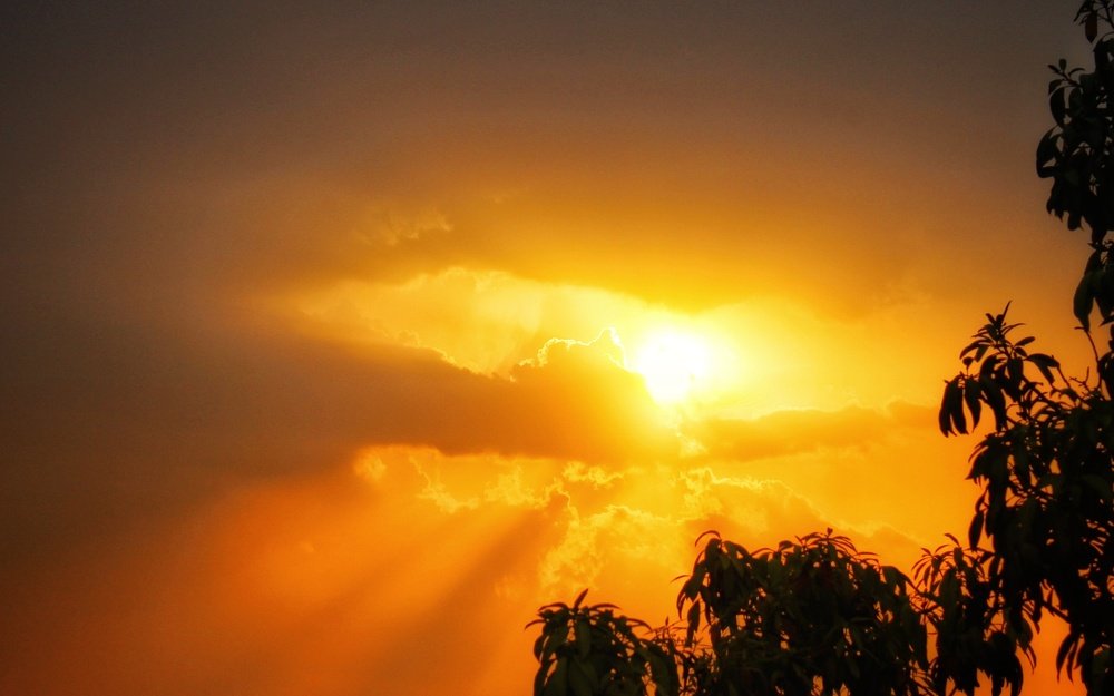 Photograph by Shaharukh Sheikh