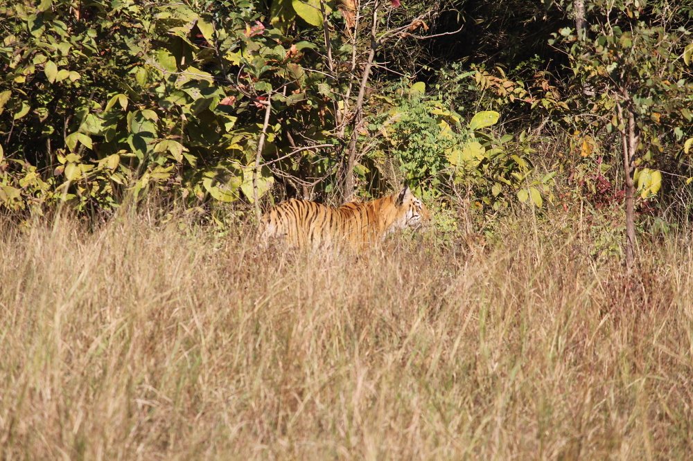 Photograph by Shaharukh Sheikh