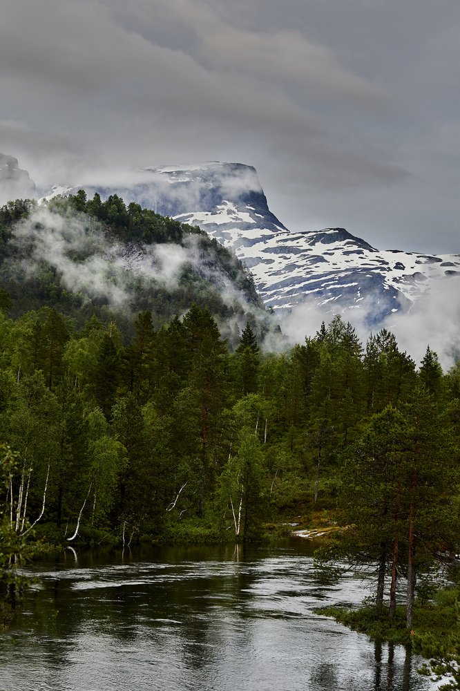 Photograph by Arturas Gailius