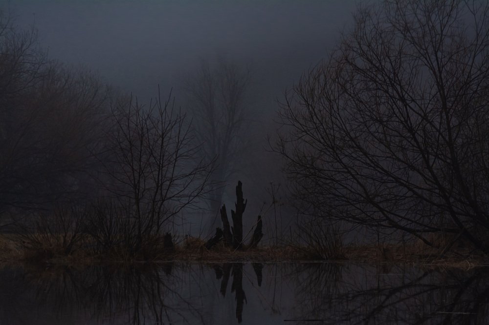 Photograph by Сергей Шмелев