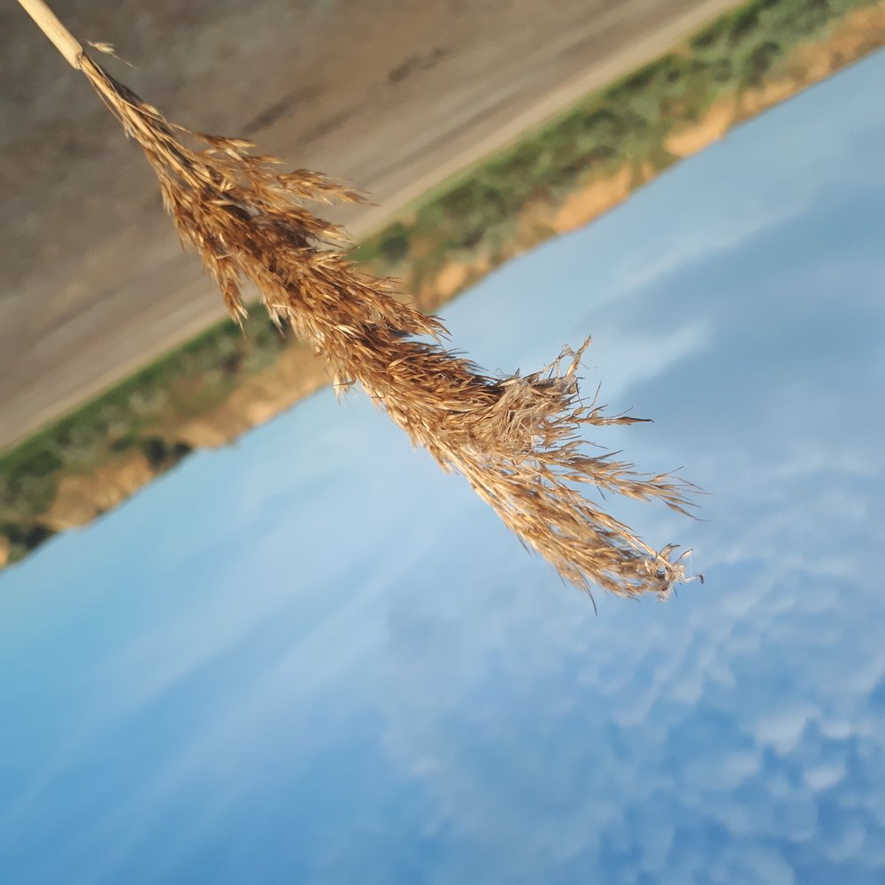 Вход запрещен