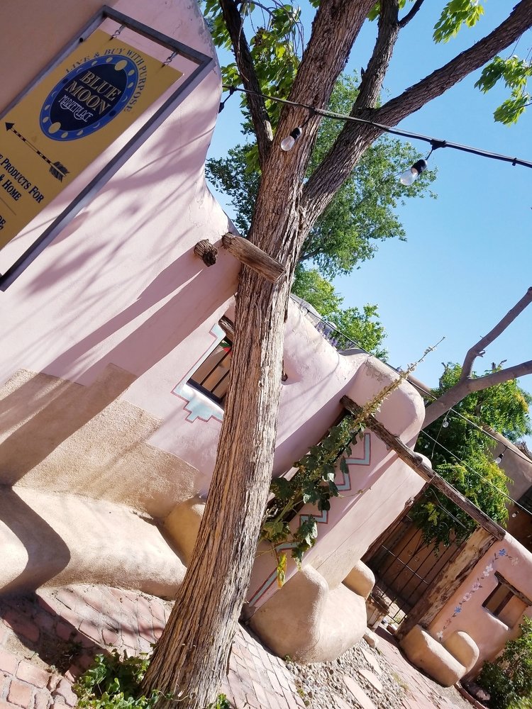 Photo #4687815