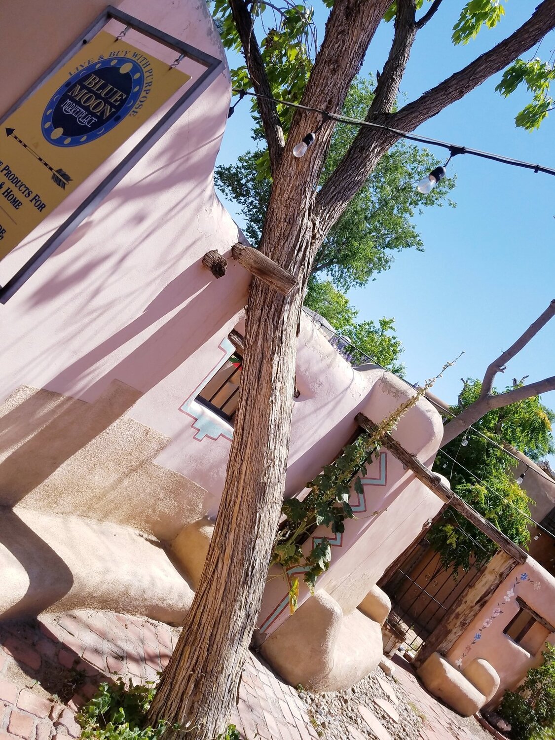 Photo #4687815