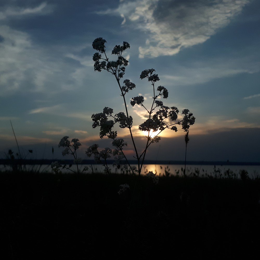 Закат на лимане