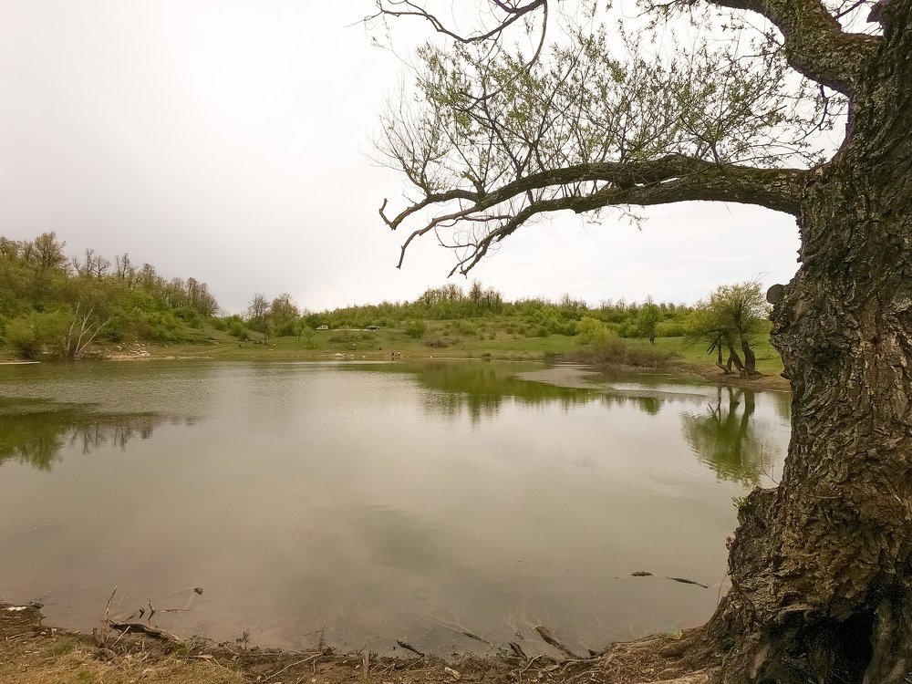 Photograph by Bojan Milosavić