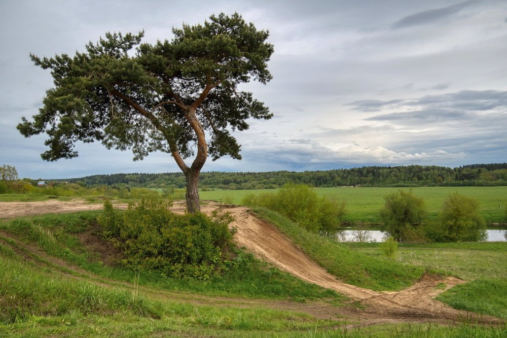 Photograph by Александр Соловьев