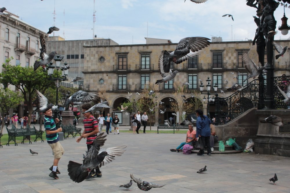 Photograph by Mario Israel Barrios