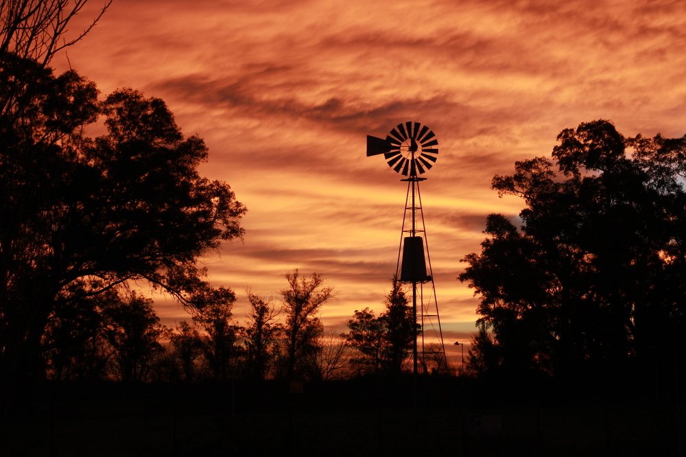 Photograph by Ezequiel Viñas