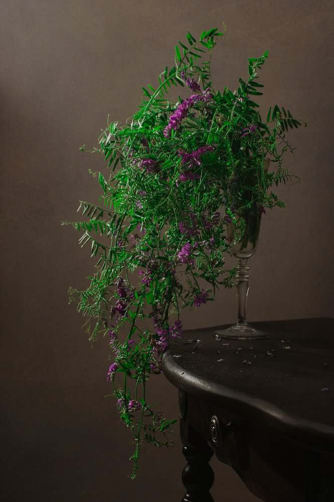 Photograph by Ольга Савостина