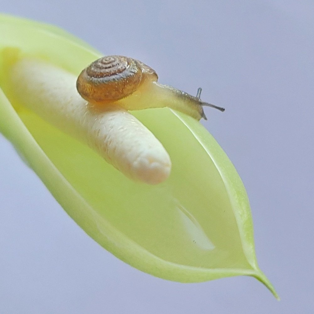 Photograph by Алеся Писнова