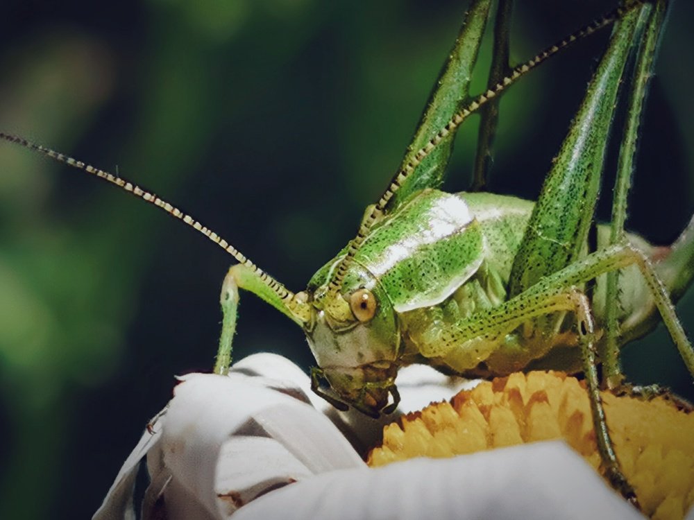 Photograph by Сергей Таранов