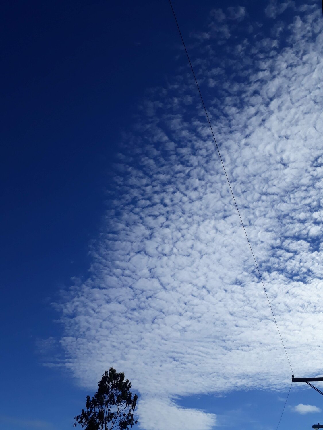Photo #4688008