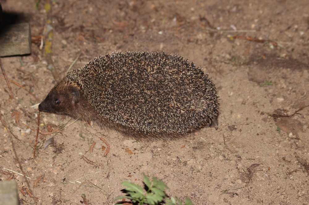 Photograph by Екатерина Апрелева