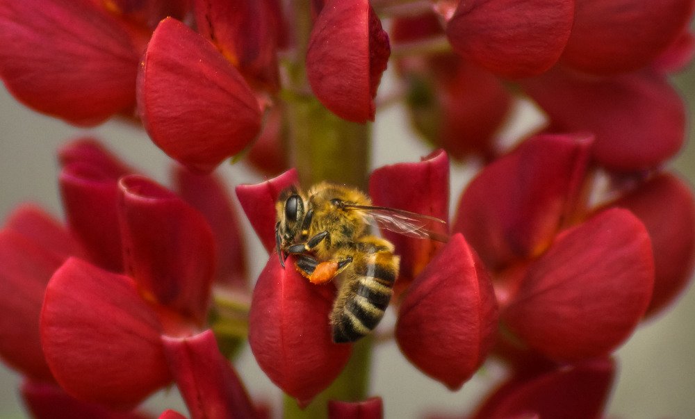 Photograph by Slesareva Nina