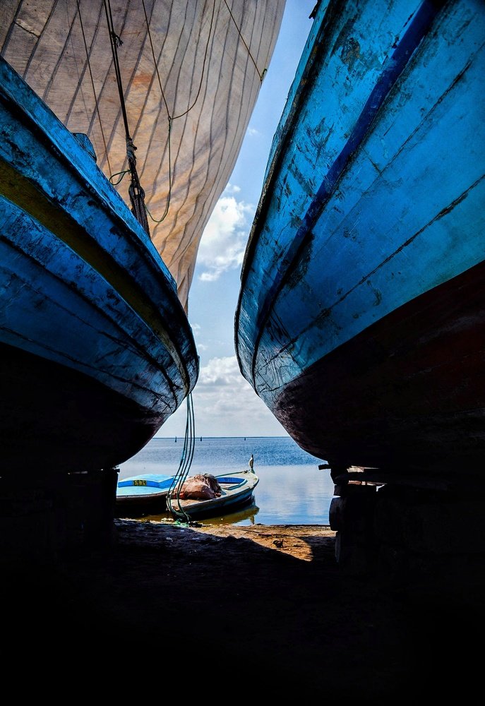 Photograph by Eldeeb Eman