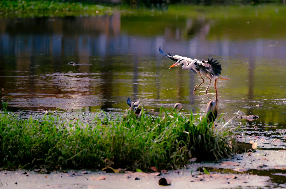 Photograph by Kamil Izzudin