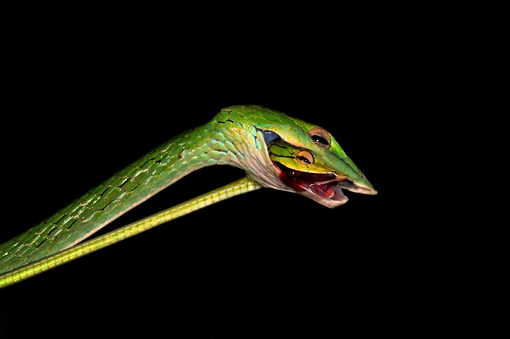 Photograph by Yuwaraj Gurjar